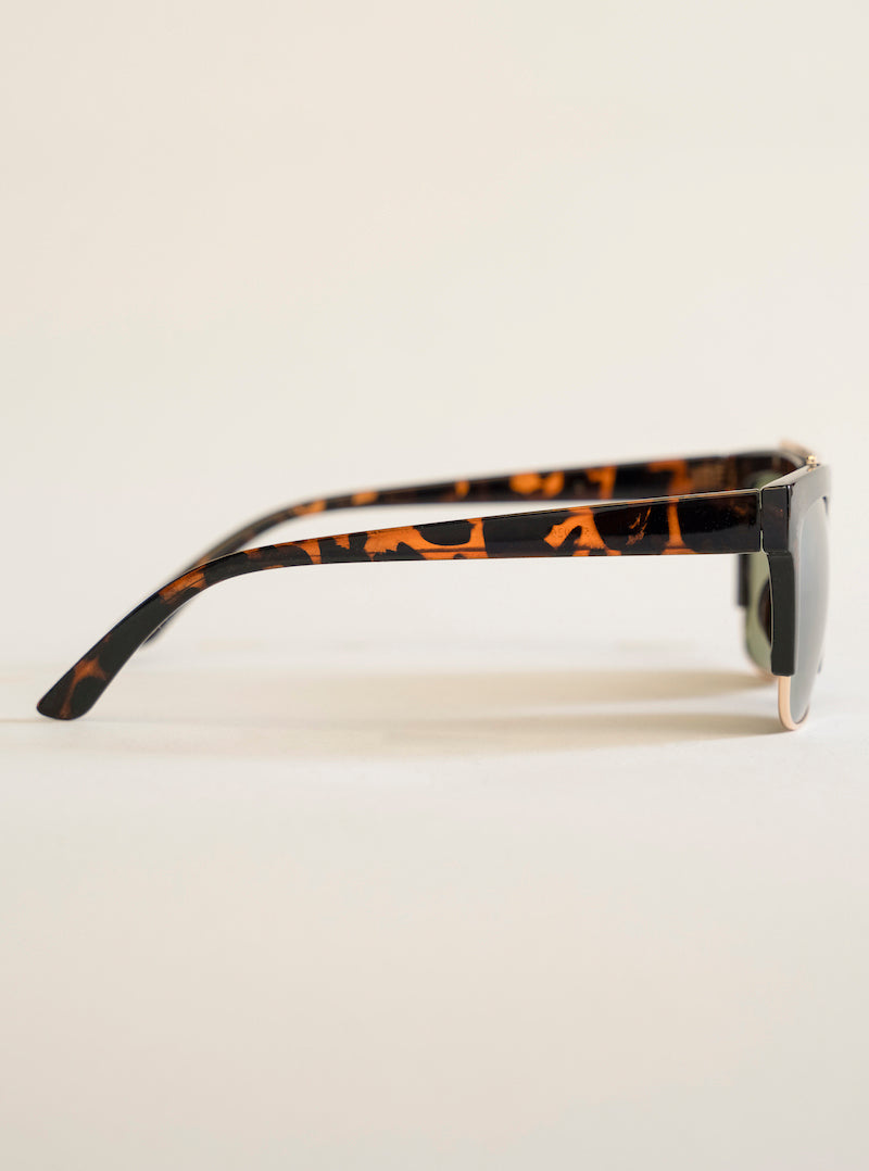 Believe It Or Not Sunglasses, Café Obscuro