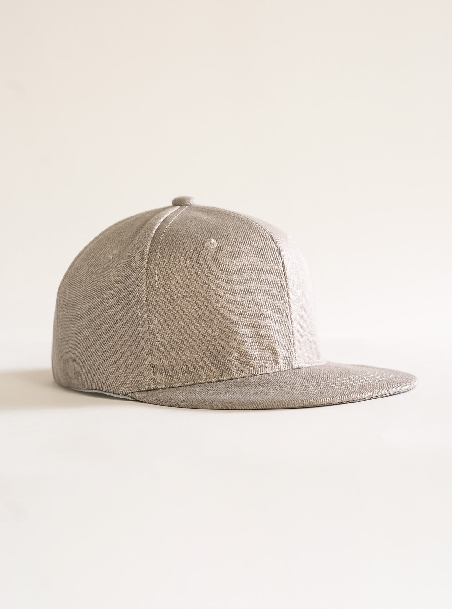 Trust Nobody Snapback Hat, Gris Claro