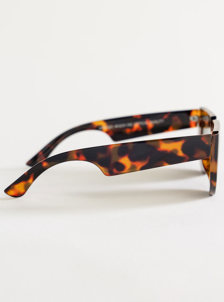 I Feel Love Sunglasses, Café Obscuro