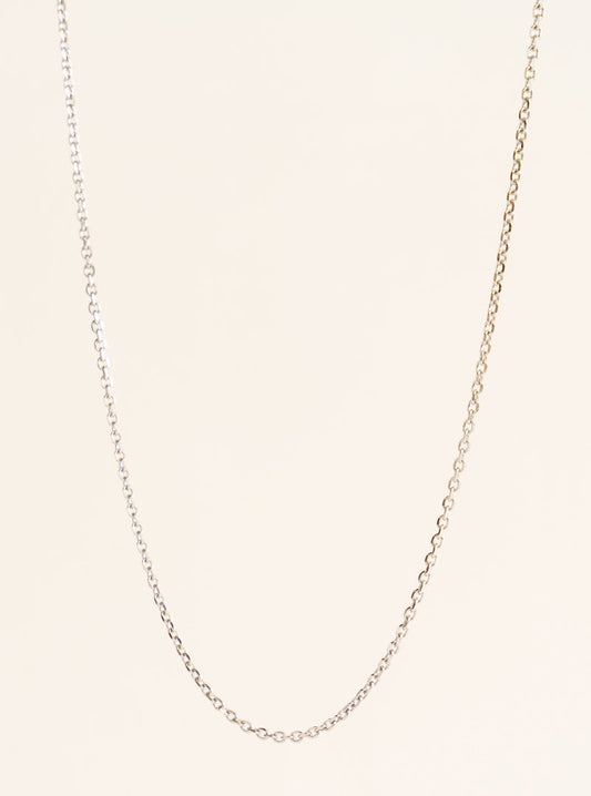 New Zealand Silver Chain, Plateado